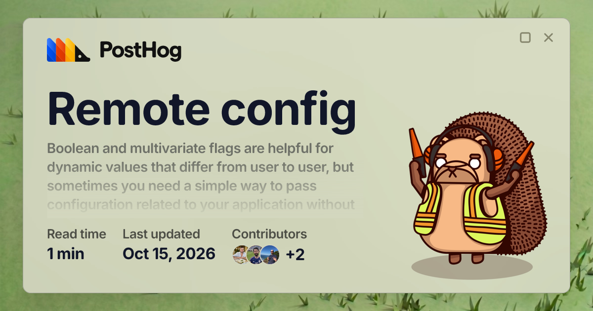 Remote config - Docs - PostHog